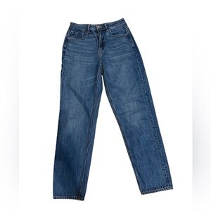 American Eagle Outfitters Blue Straight Leg Jeans